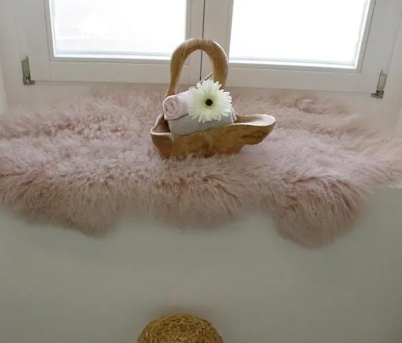 Alter Heuboden Im Fachwerk Bei Bonn Alfter Apartment *